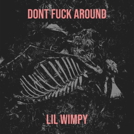 Dont Fuck Around | Boomplay Music