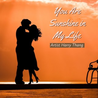 You Are Sunshine in My Life