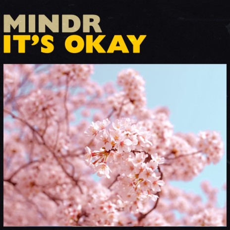 It's Okay | Boomplay Music