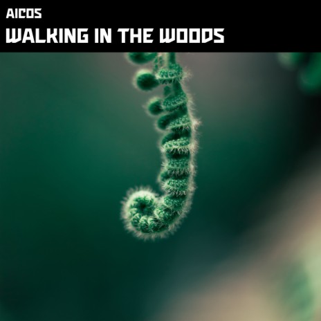 Walking in the woods | Boomplay Music