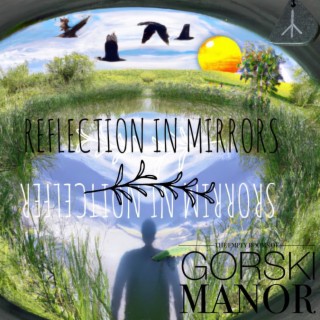 Episode 19 Reflection in Mirrors