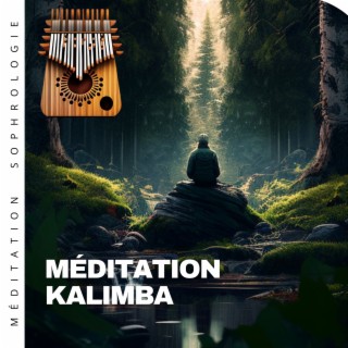Méditation kalimba (Sons de la forêt)