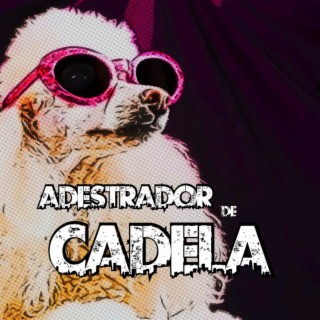 Adestrador de Cadela