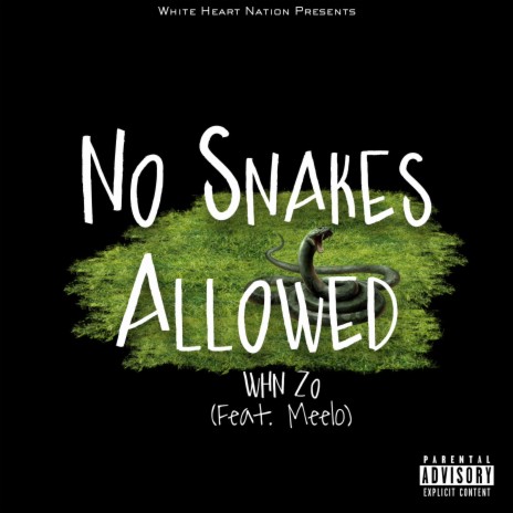 No Snakes Allowed ft. Meelo | Boomplay Music