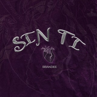 Sin Ti lyrics | Boomplay Music