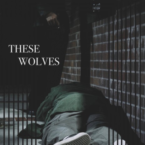 These Wolves | Boomplay Music