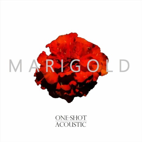 Marigold (One-Shot Acoustic) | Boomplay Music