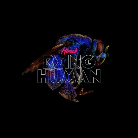 Being Human | Boomplay Music