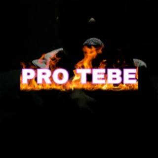 Pro tebe