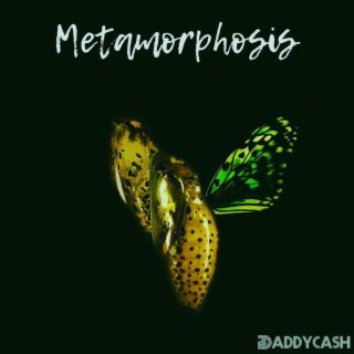 Metamorphosis