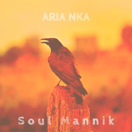 Aria nka | Boomplay Music
