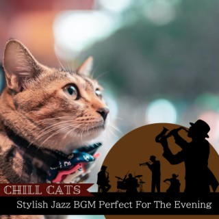 Stylish Jazz BGM Perfect For The Evening