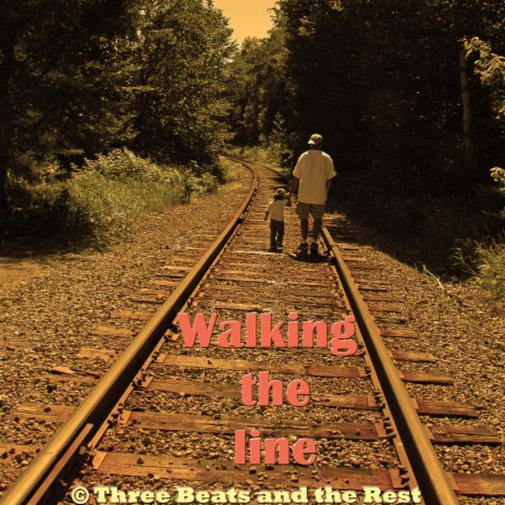 Walking the line | Boomplay Music