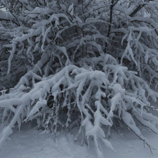 Зима долгая (prod. by WEBBOY)