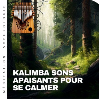 Kalimba sons apaisants pour se calmer