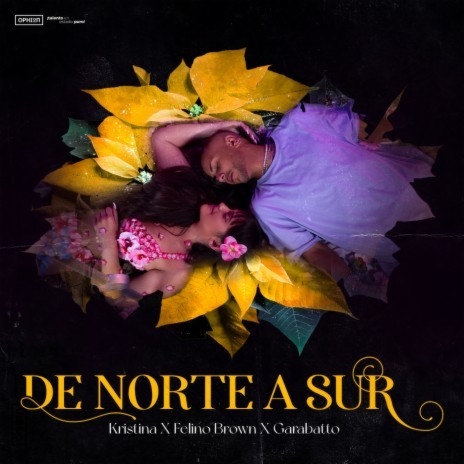 De Norte a Sur ft. Felino Brown & GARABATTO | Boomplay Music