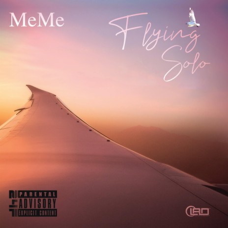 Flying Solo | Boomplay Music