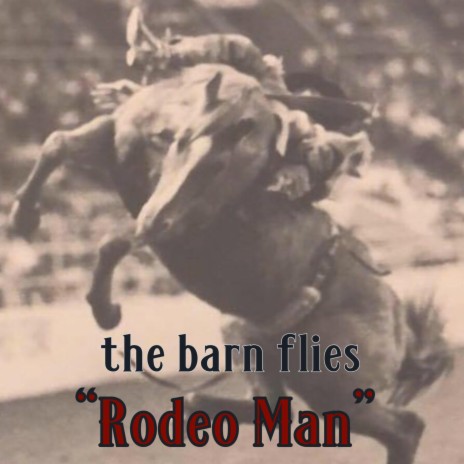 Rodeo Man | Boomplay Music