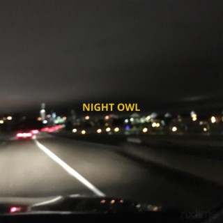 Night Owl, pt. 1 lyrics | Boomplay Music