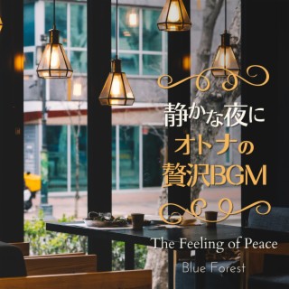 静かな夜に〜大人の贅沢bgm〜 - The Feeling of Peace
