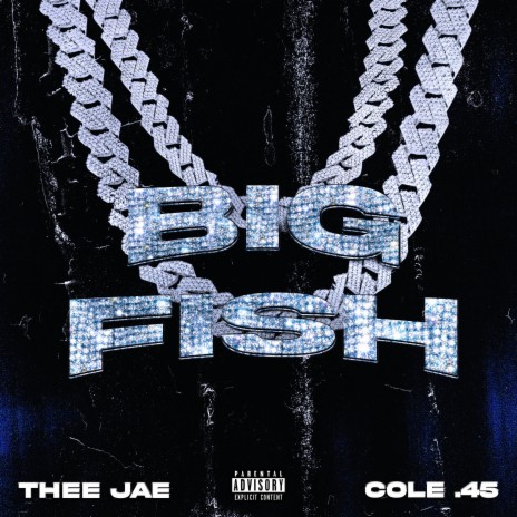 BIG FISH (feat. Cole.45) | Boomplay Music