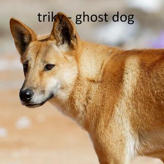 Ghost Dog