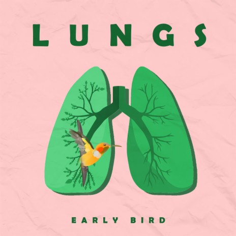 Lungs