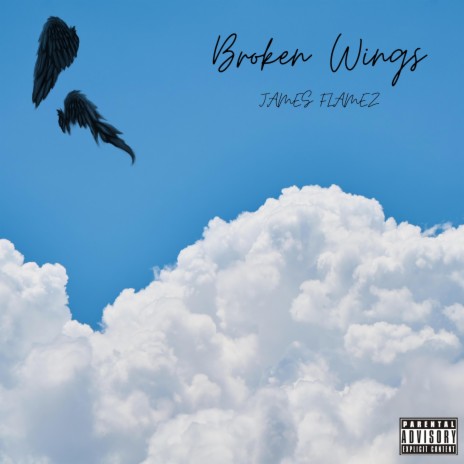 Broken Wings