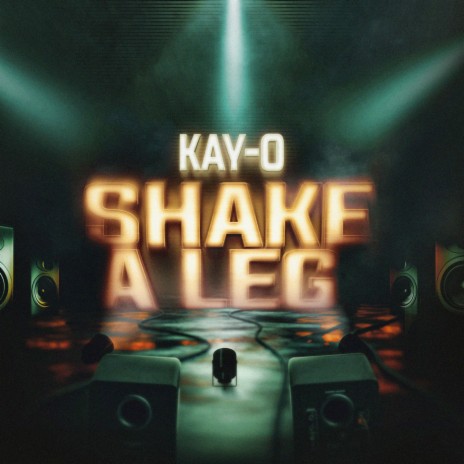 Shake A Leg | Boomplay Music