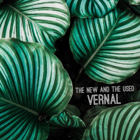 Vernal | Boomplay Music