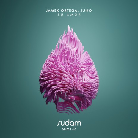 Tu Amor (Kintar Remix) ft. Juno (DE) & Kintar | Boomplay Music