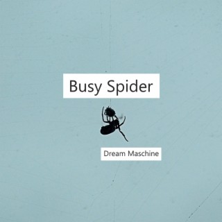 Busy Spider