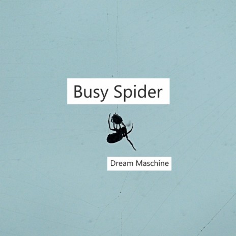 Busy Spider