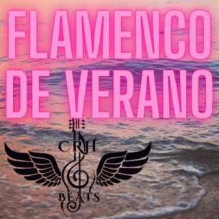 Flamenco de Verano