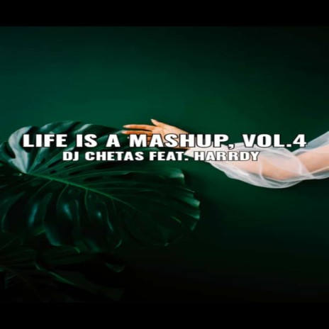 Life Is a Mashup, Vol. 4 | Boomplay Music