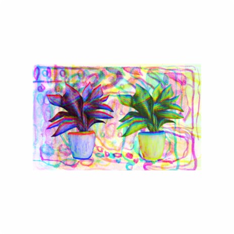 Potted Plants