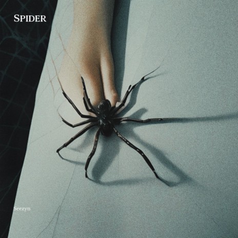 Spider