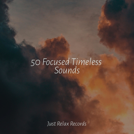 Hushed Shadows Over Still Waters ft. Yoga Sounds & Exam Study Classical Music | Boomplay Music