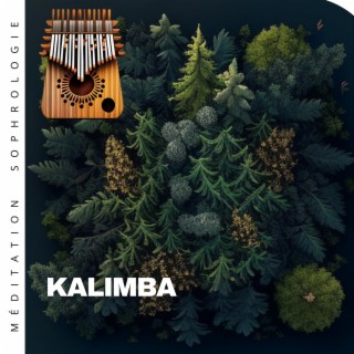 Kalimba (Sons de la forêt pour une meilleure méditation)