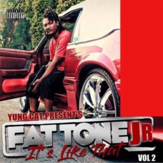 Fat Tone Jr, Vol. 2: Its Like That