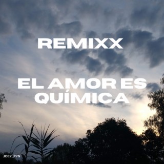 El Amor Es química (Remix)