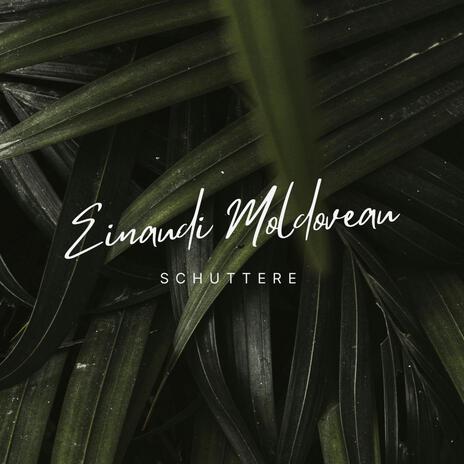 Schuttere | Boomplay Music