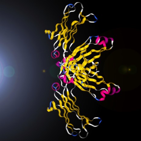 Orchestra of Amino Acids