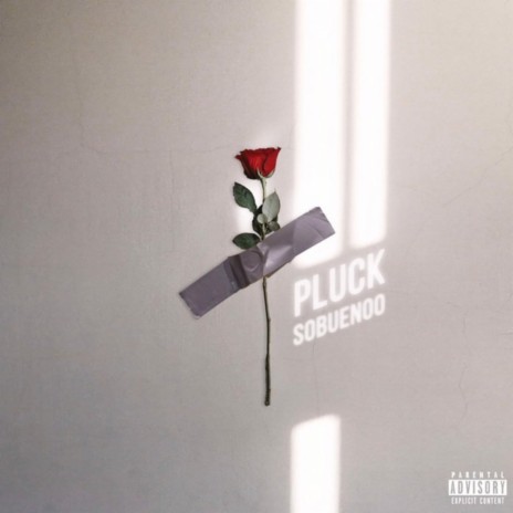 Pluck | Boomplay Music