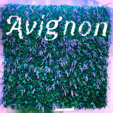 AVIGNON | Boomplay Music