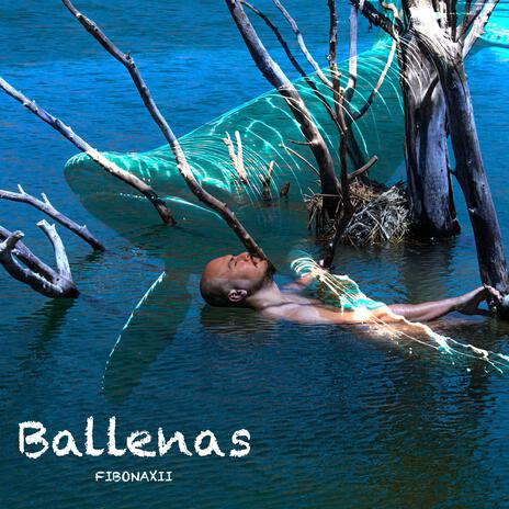 Ballenas | Boomplay Music