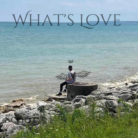 Whats Love | Boomplay Music