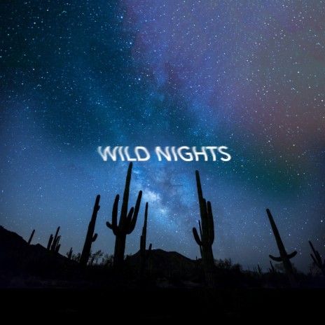 Wild Nights | Boomplay Music