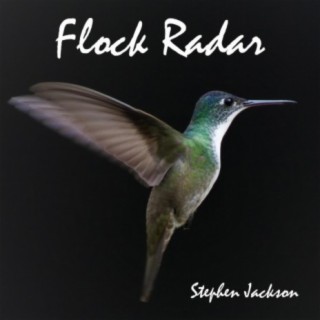 Flock Radar