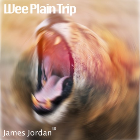 Wee Plain Trip | Boomplay Music